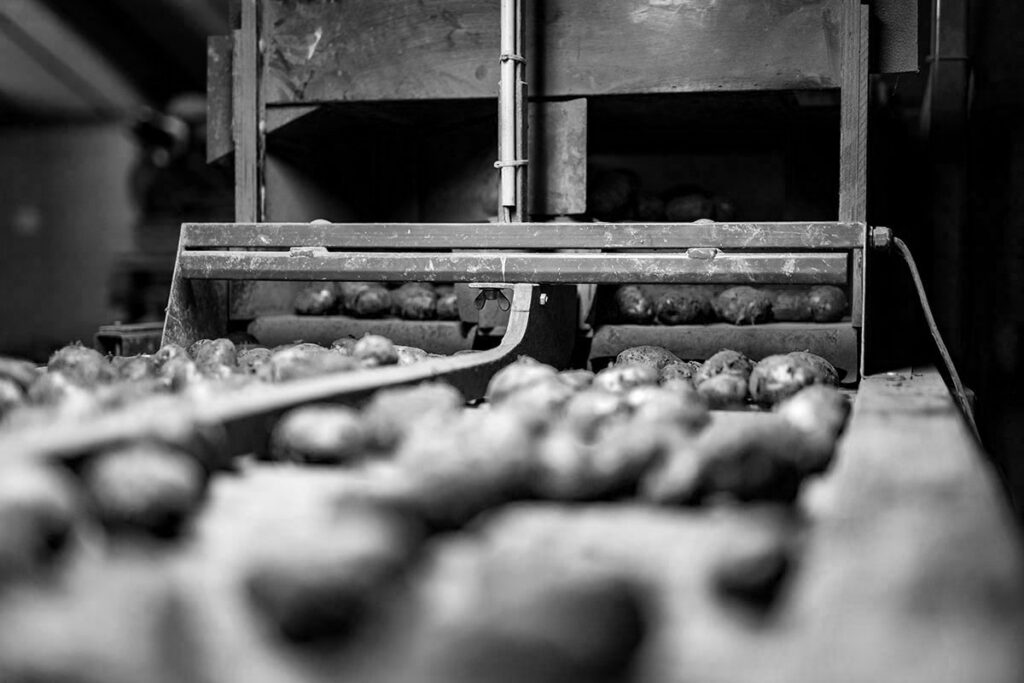 aardappels van de aardappelboerderij